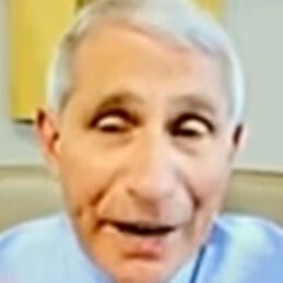 PCR Tests are Useless